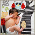 quilts