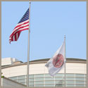 BU FitRec     Boston University