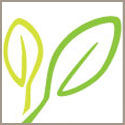 Tints of Green logo